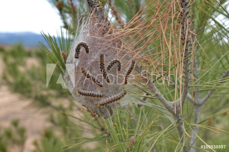 AdobeStock_109838897_Preview