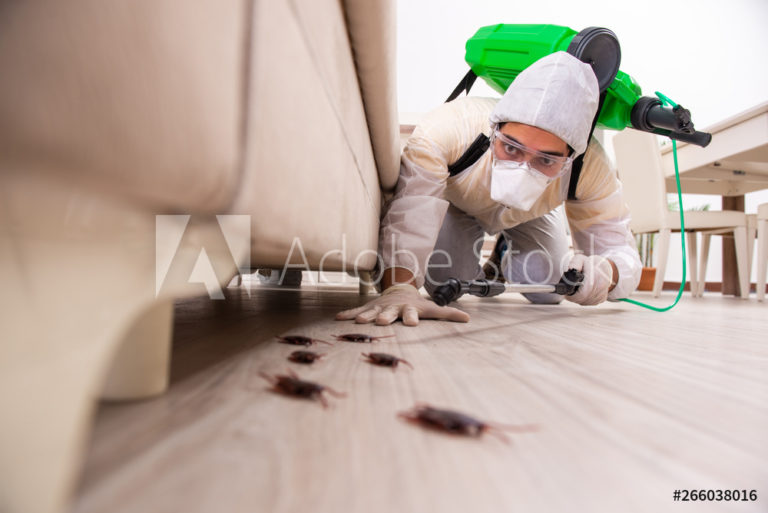 AdobeStock_266038016_Preview