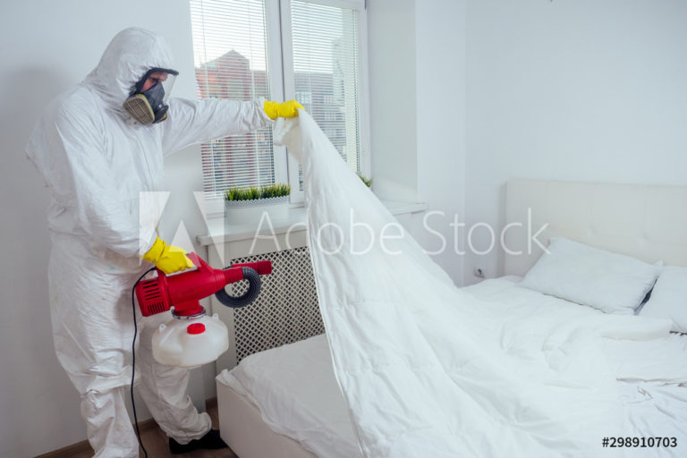 AdobeStock_298910703_Preview