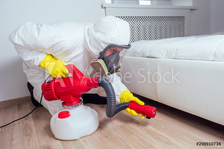 AdobeStock_298910734_Preview