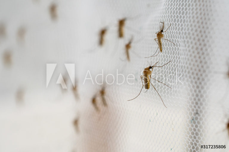 AdobeStock_317235806_Preview