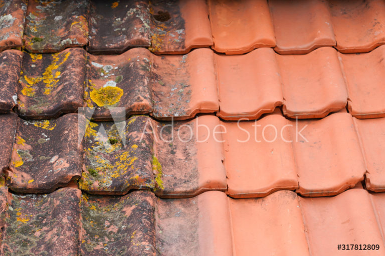 AdobeStock_317812809_Preview