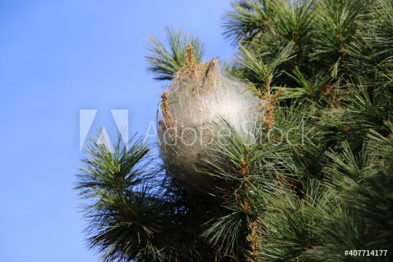 AdobeStock_407714177_Preview