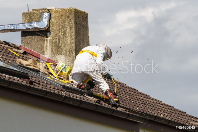 AdobeStock_45460848_Preview