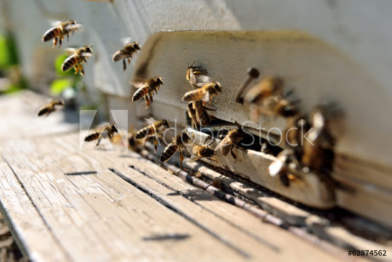 AdobeStock_62874562_Preview